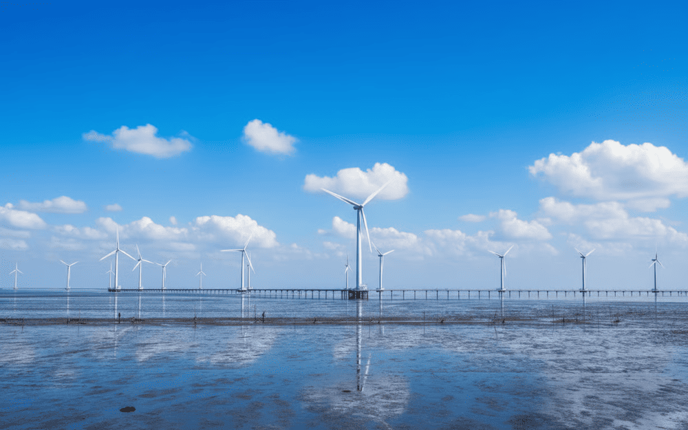 Hoàng hôn tuyệt đẹp trên cánh đồng điện gió